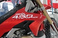 ROB_4836 (Copy)